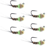 Tungsten Soft Hackle Pheasant Tail Tactical Euro Jig - 6 Flies Size 12