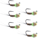 Tungsten Hot Spot Pheasant Tail Tactical Nymph Euro Jig - 6 Flies Size 16