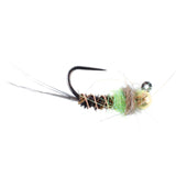 Tungsten Hot Spot Pheasant Tail Tactical Nymph Euro Jig - 6 Flies Size 16