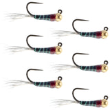 Tungsten Bead Black Perdigon Tactical Jig Euro Nymph - 6 Flies Size 16