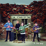 IN THE END [Vinyl]