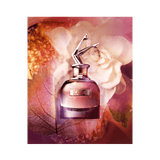 JEAN PAUL Gaultier Scandal Eau de Parfum