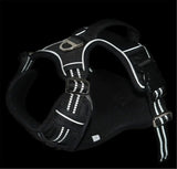 Durable Waterproof Pet Harness with Vertical Handle