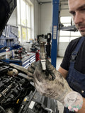 Spark Plug-Platinum Autolite AP985