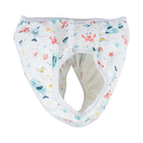Sevi Bebe Potty Training Pants - Breathable, Reusable, Non-Toxic Training Underwear for Toddlers (15-20 kg)