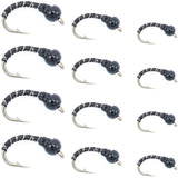 Black Zebra Midge Assortment - Black Bead Head - 1 Dozen - 4 Each of 3 Sizes 14, 16, 18 - Tailwater and Lake Fly Fishing Flies Assortment
