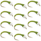 Bead Head Olive Zebra Midge Still Water Nymph 1 Dozen  Hook Size 16