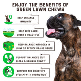 Green Lawn Chews for Dogs   Cranberry ACV Digestive Enzymes   Natural Dog Urine
