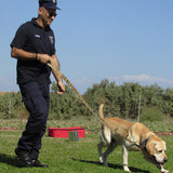 Dog Retractable Elastic Reflective Hand Holding Rope