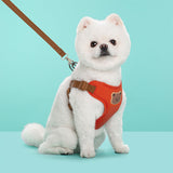 Outing Dog Leash Pet Strap