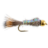 Basics Collection - Flash Back Tungsten Bead Head Nymphs 10 Flies  #10-16