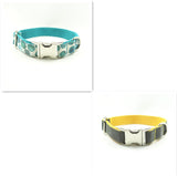 Original New Dog Collar Retractable Dog Leaning Dog Collar Original new dog collar retractable dog leaning dog collar