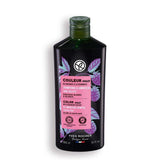 BCB Essentials Purple Shampoo for Brassiness Control 250ml