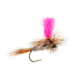 Eastern Trout Fly Assortment - 24 Essential Trout Flies Collection