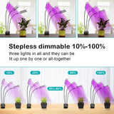 Adjustable 3-Head Grow Lights for Indoor Plants with Timer