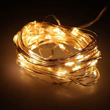 AGPtek 16.5FT 50 Individual LED String Lights Waterproof