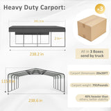 [20X20FT] Alora Heavy-Duty Extra-Large 2 Car Metal Carport Kit For Cars, Boats, And Trucks (SAK46135)