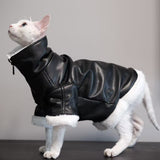 Thickened Coat Furless Cat Apparel Sphynx Cat Outfit Autumnwinter Style