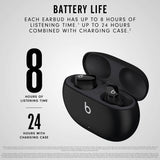 Beats True Wireless Noise Cancelling Earbuds