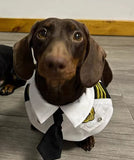 Dachshund Dog Funny Clothes Halloween Suit