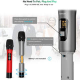Bietrun Wireless UHF Metal Dual Handheld Dynamic Mic Karaoke System