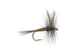 Blue Winged Olive BWO Trout Dry Fly Fishing Flies - 6 Flies Size 18