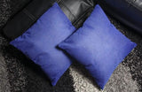 2-Pack: Blue Throw Pillows