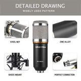 BM800 Professional Condenser Microphone