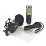 BM800 Professional Condenser Microphone