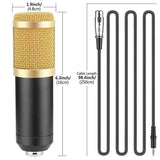 BM800 Professional Condenser Microphone