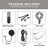 BM800 Professional Condenser Microphone