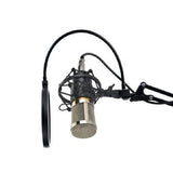 BM800 Professional Condenser Microphone