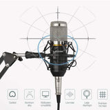 BM800 Professional Condenser Microphone