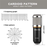 BM800 Professional Condenser Microphone