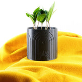 Boho Sun Planter