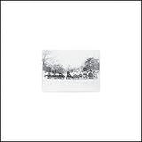 Bright Eyes - A Christmas Album (Translucent Red Colored Vinyl) [Vinyl]