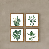 Botanical Framed Wall Decor - Green Plant