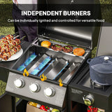 Castelle Flame 15K BTU Barbecue Propane Liquid Propane Grill With Side Burner (SAK53481)
