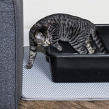 Cat and Rabbit Litter Trap Mat