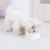 Ceramic Heated Pet Water Bowl Food Warmer
