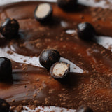 Chocolate Dipped Macadamia Nuts (12 Bags)