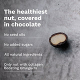 Chocolate Dipped Macadamia Nuts (12 Bags)