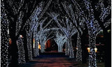 Solar-Powered 100 LED Fairy Light String - Assorted Colors