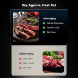 Commercial 12.5 Cu.Ft Dry Aging Fridge For Steaks, Beef, Lamb, And Ham (SAK63584)