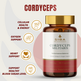 SIBA Cordyceps Mushroom Capsules – 1000mg Fruiting Body Extract