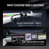 Cybertruck Smart BSD Blind Spot LED Ambient Lighting Kit | TESERY