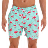 Mens Fashionable Sports Beach Shorts