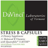 Davinci Laboratories Stress B Capsules, 90 Count