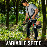 40V 13" Cordless Brush Cutter w/ Battery & Charger DB2501