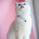 Pet Cat Beads Love Necklace